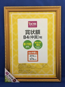 ܏z S16-GA46 PV ܏B4 DCM