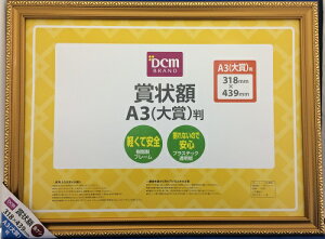 ܏z S16-GA48 PV ܏A3 DCM