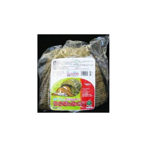 sbR[m ̂˂ P-166 sbR[m