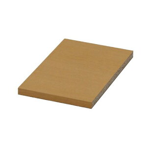 Ԏ[ړII v[WpI NPG-OP20 i` v[WV[Y20p GCEACEGX