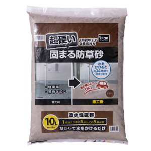 d ł܂h 10L uE d DCM