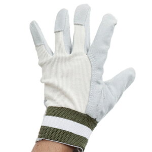 牛床皮手袋 甲メリ 1双組 F 甲メリ DCM