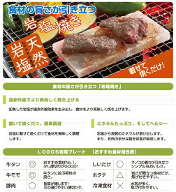 【在庫限り】岩塩プレート 81065990 調理用品 ロゴス