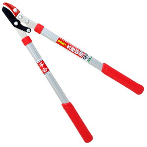 pCv} SGFL-1 S:530mm g