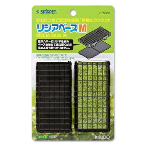 X^[ybg VAx[Xet M X^[ybg