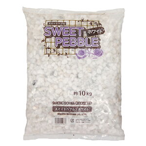 y܂Ƃߔ̔zXEB[gyu 10kgx3 Y