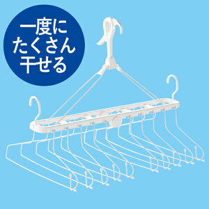 10AnK[ zCg zCg 10A DCM