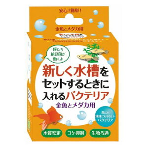 VZbgƂɓoNeA 150ml ƃ_Jp 150ml hbOC[
