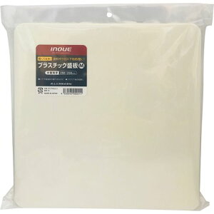 vX`bN Miؐj 11001 M INOUE