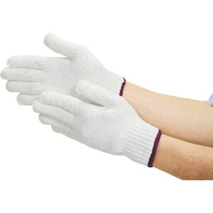 ȌR1_[X 160_7193 ۘaP~J