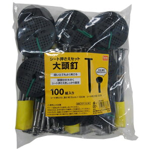 10%OFFN[| 420:00`523:59V[gZbg 哪B 15cm100g DCM