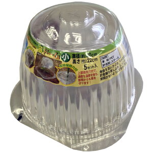 ch[  a30cm×22cm DAIM