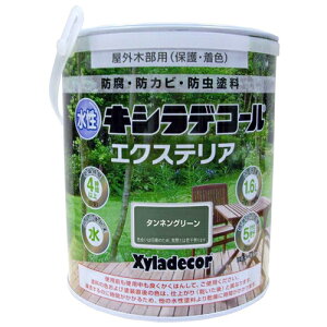 ���� �L�V���f�R�[�� �G�N�X�e���A 1.6L �^���l���O���[�� ���K�X�P�~�J��