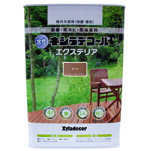 ���� �L�V���f�R�[�� �G�N�X�e���A 3.4L �`�[�N ���K�X�P�~�J��