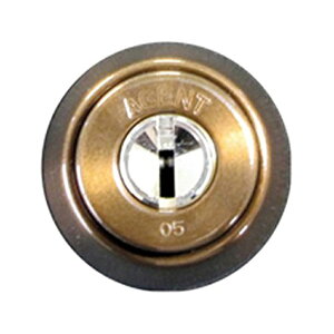 LS5-LA Vo[ fBv[L[MIWAփV_[ 33`42 (5{t)