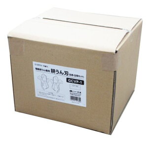 dk@p knZbg GCVP-1 ֐n EARTH MAN