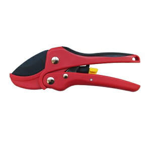 yʃ`Fbg 175mm EVER GREEN