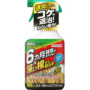 ���ގ����K�����O�V�����[ 1000ml �Z�F���w���|