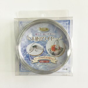 C[ [P[Xt Vo[ 0.9mmx10m Vg̃C[