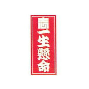 ElXebJ[ ꐶ 36×84mm Ely