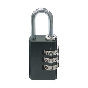 No.310 BIG`FWbN 3i_C (_CJXgh) 310-30 30mm SOL HARD