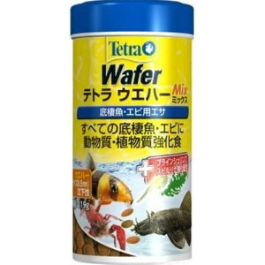 egEFn[~bNX 119g XyNg Wpij