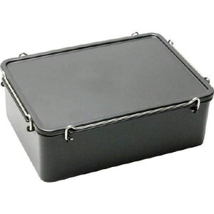 d^CgP[X 781286_4055 e:2.70L v