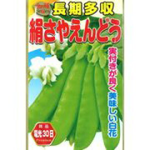 10%OFFN[| 420:00`523:59̎ ₦ǂ ₦ǂ A^_