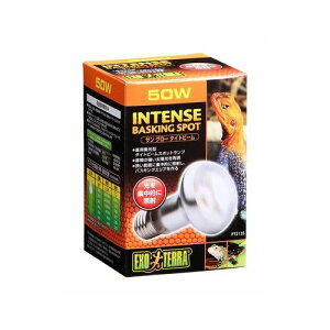 TO[^Cgr[oXLOX|bgv PT2135 50W GL]e