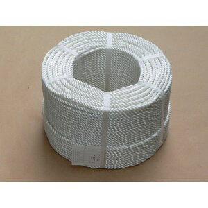 �i�C�������[�v 4mm×200m TAKAGI