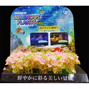 ~iXvc }bg2 ij}Jijb\[j