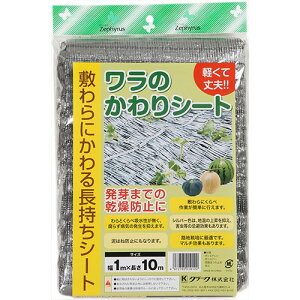 ̂V[g 1x10M 1x10M }cg