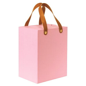 [Jo LST-SK01PI sN 210x165x271mm CtX^Cc[