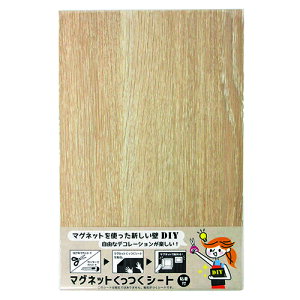 }OlbgV[g200×300 i`I[N i`I[N 200x300 DAIDO HANT