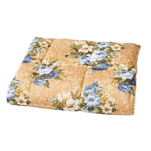 g}Eʐ ̉ԃPbg VO u[ RrY