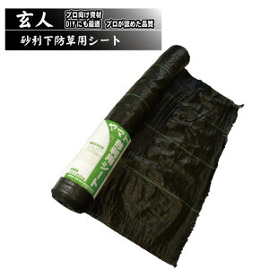 lpEhV[g100cm(1m)×50[g }cgY