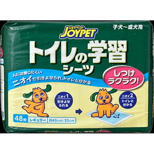 WCybggC̊wKV[c 48 M[ WCybg