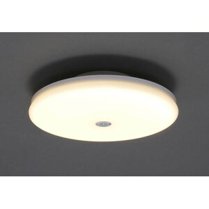 ^V[OCg `2000lmdFlZT[t SCL20LMS-UU dF/lZT[t ACXI[}