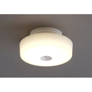 ���^�V�[�����O���C�g���^���T�[�L�b�g�V���[�Y�d���F1200lm SCL12LMS-MCHL �d���F �A�C���X�I�[���}