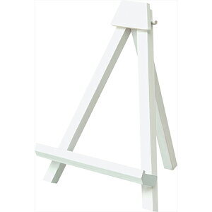 ؐC[[ SSTCY EZ-S01W zCg Nakabayashi