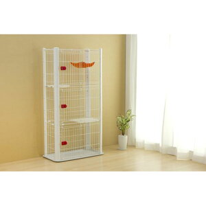 J[XP[W 3i P-CSC-903 zCg zCg 3i ACXI[}