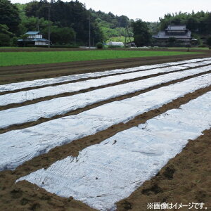 }`  0.02×95cm×200m DCM