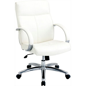 GO[NeBu`FA/It RZE-A210W zCg Nakabayashi