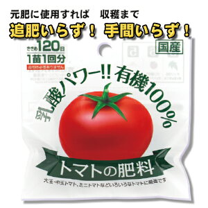 10%OFFN[| 420:00`523:59_L@ g}g̔엿 2 1c1 50g 2 o[vc