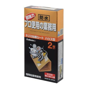 vgp̋Ɩp lY~쏜pSV[g nEX 2 SHIMADA