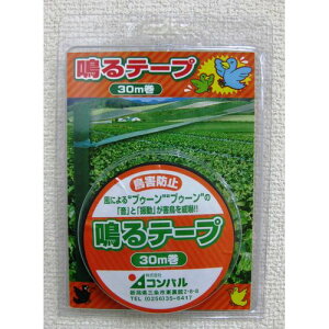 e[v 30m Rp c Ԓd   Q x_