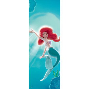 �f�B�Y�j�[�v�����Z�X�ǎ� NTLP-015w �V�[�����g���}�[���[�h 91cm×260cm �A�T�q�y��