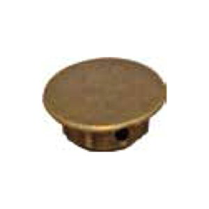 AeB[NLbv C-ACXGLX-QX S[h 10/100 _hrX