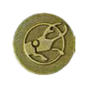 A[gLbv AeB[N V[Y C-ARAM02-08 NK^ uX^[/8 DANDORI VIS