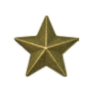 A[gLbv AeB[N C-ARASTX-60  10/60 DANDORI VIS